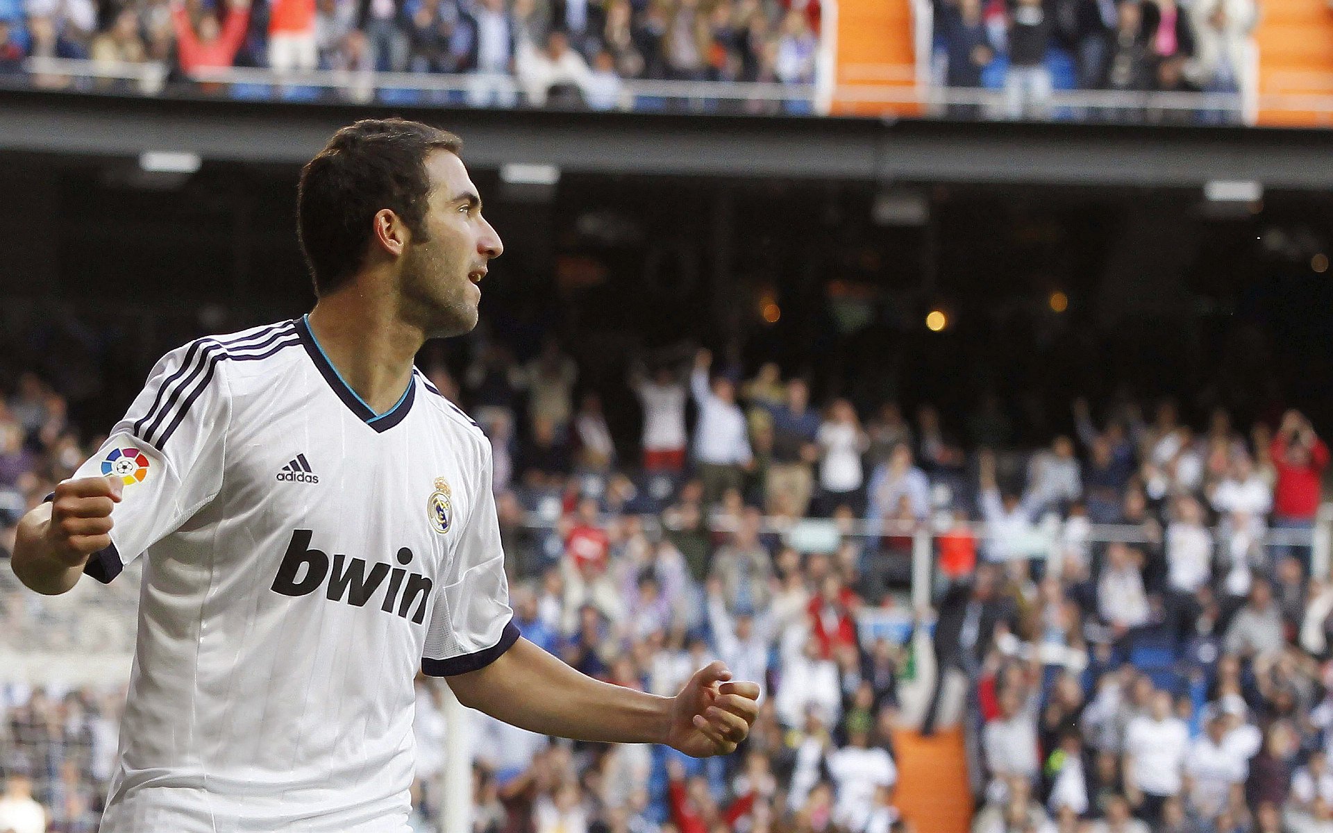 国际帆船赛圆满落幕 东道主选手勇夺冠军