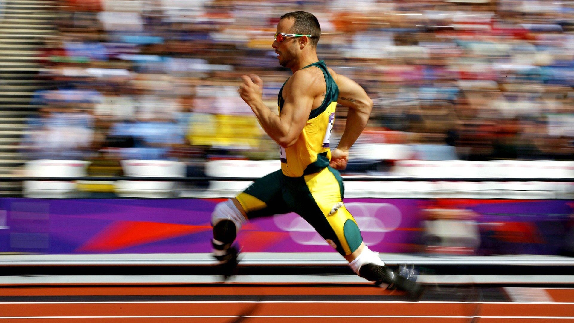 中国跳水队包揽世界杯金牌 新秀表现亮眼未来可期