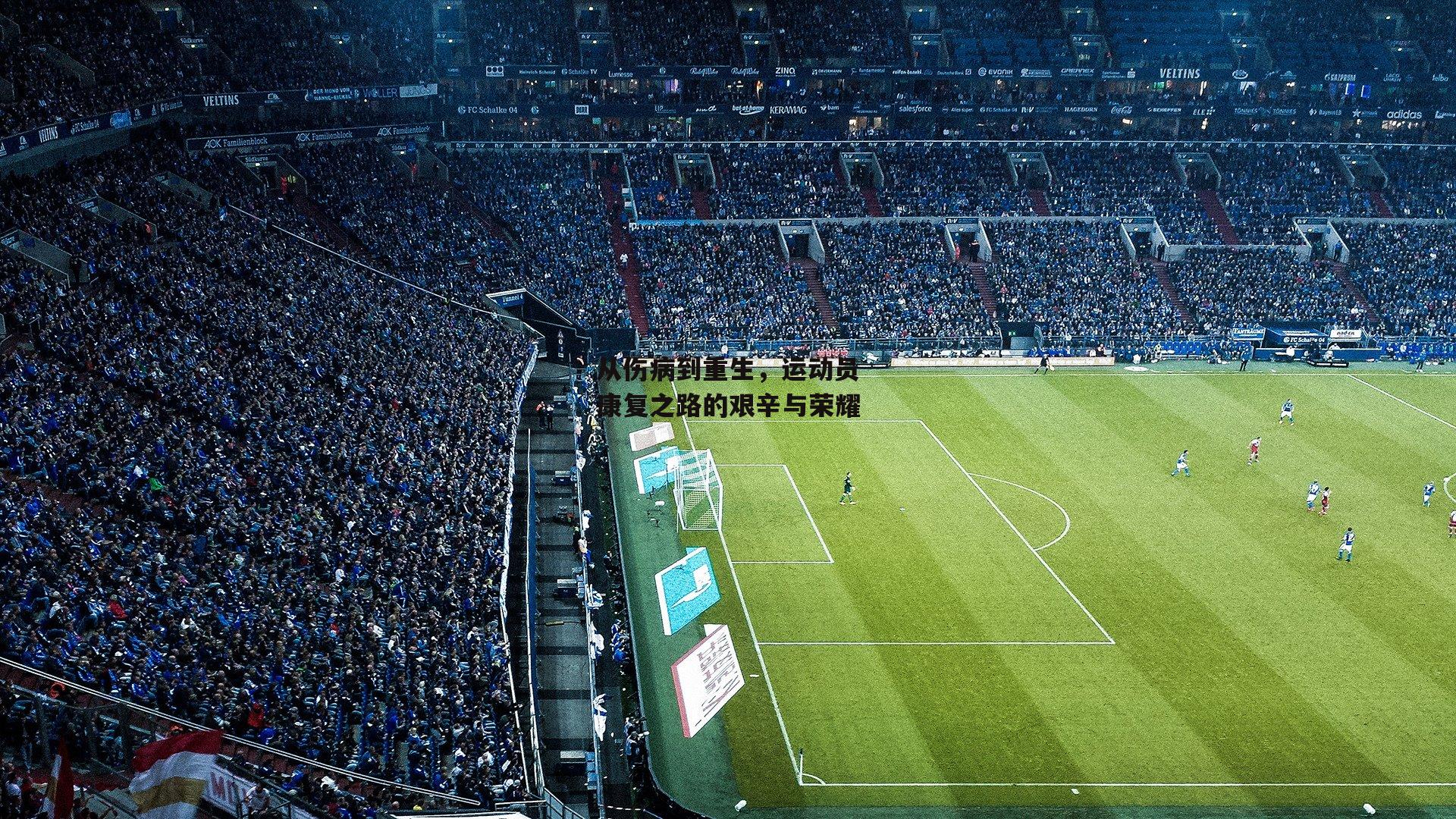 从伤病到重生，运动员康复之路的艰辛与荣耀